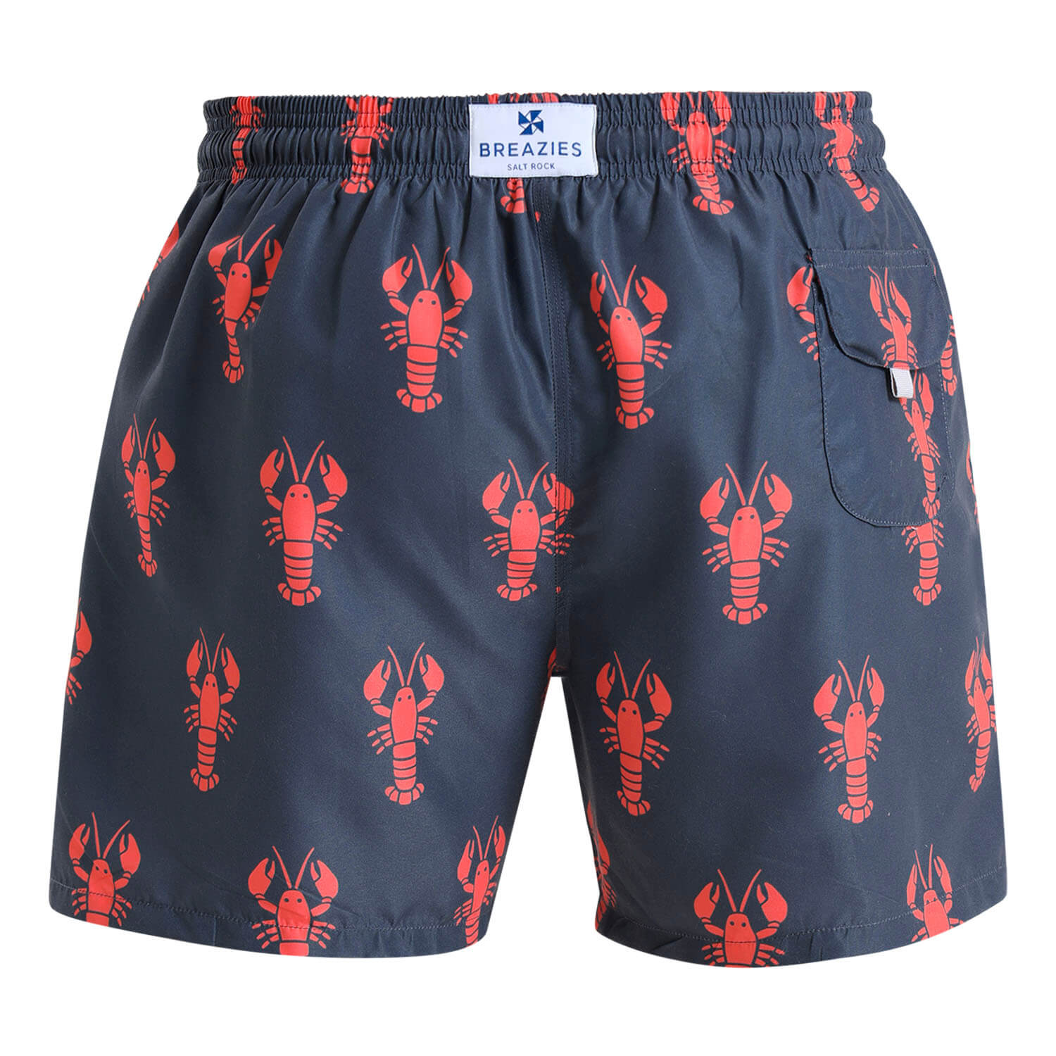 Swim Shorts - Lobster | Steel