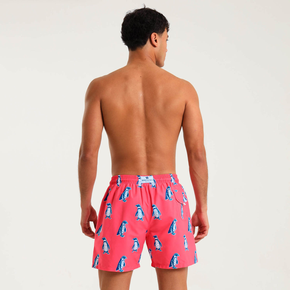 Swim Shorts - Penguin | Coral