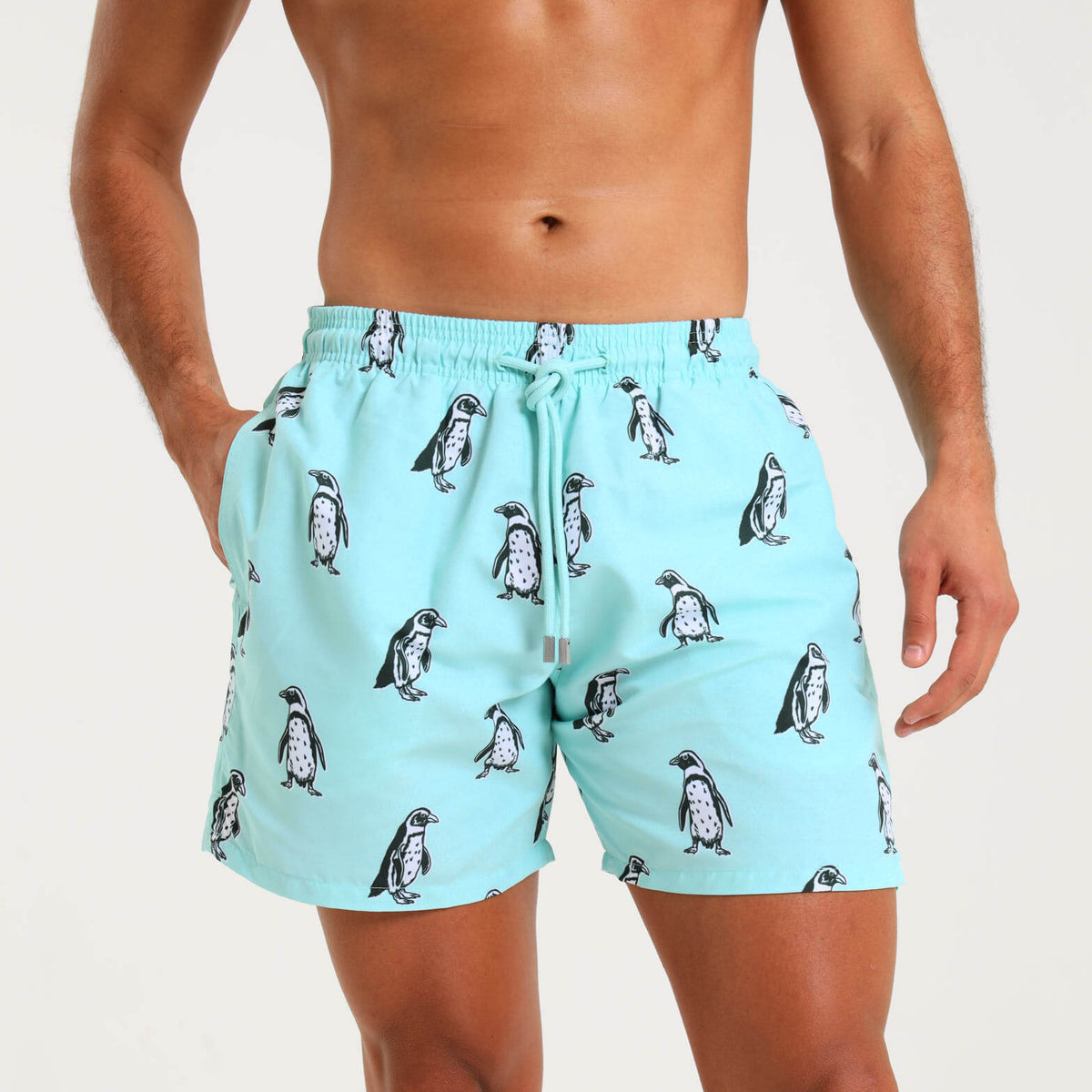 Swim Shorts - Penguin | Mint