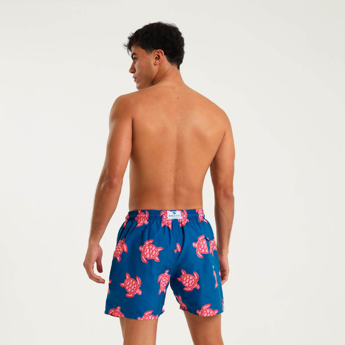 Swim Shorts - Turtles | Royal Blue