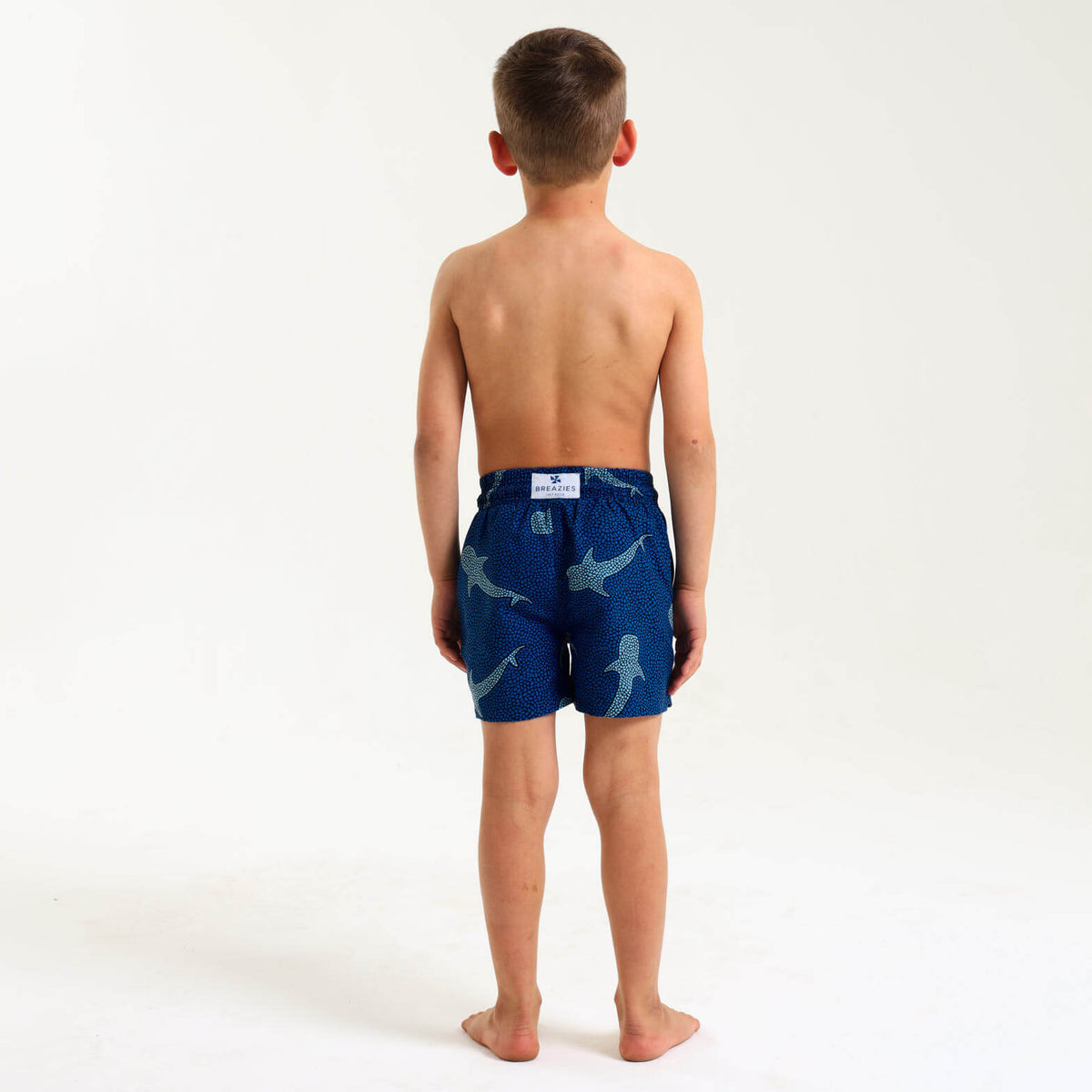 Boys Swim Shorts - Whale Shark | Navy