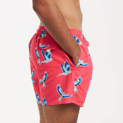 Swim Shorts - Lilac Breasted Roller | Coral