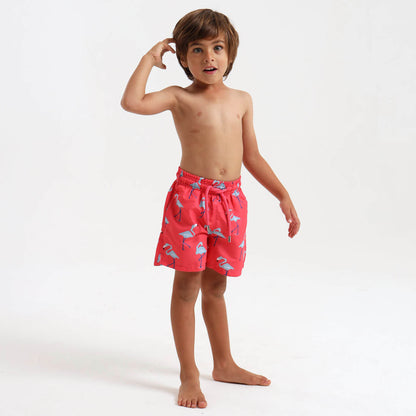 Boy wearing swim shorts with a blue flamingo design.