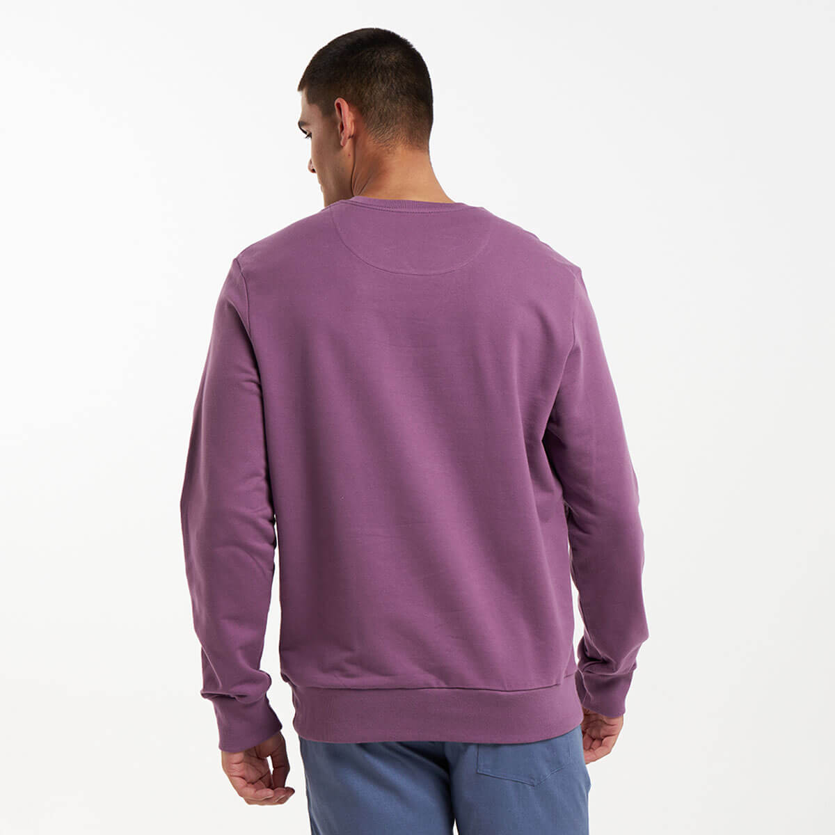 Crew Neck Sweater | Grape
