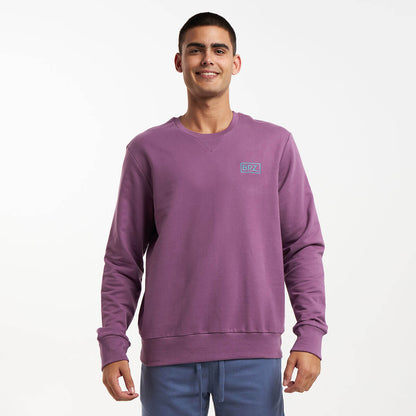 A man wearing a purple crew neck sweater with an embroidered logo on the chest.