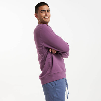 Crew Neck Sweater | Grape