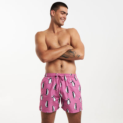 Swim Shorts - Penguins | Grape