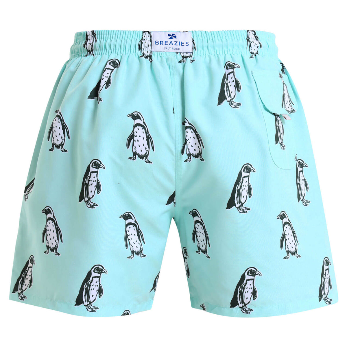 Swim Shorts - Penguin | Mint