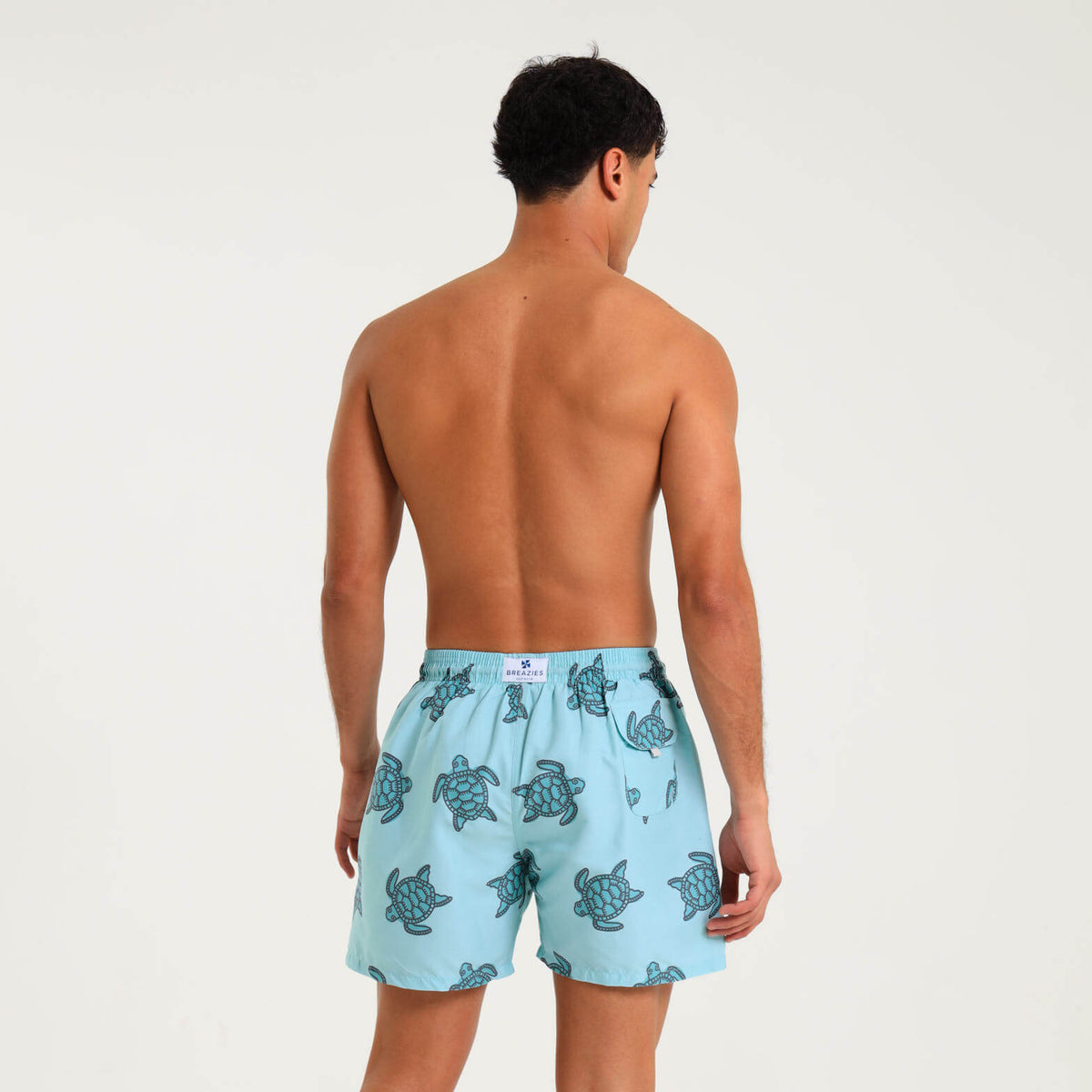 Swim Shorts - Turtles | Pastel Turq