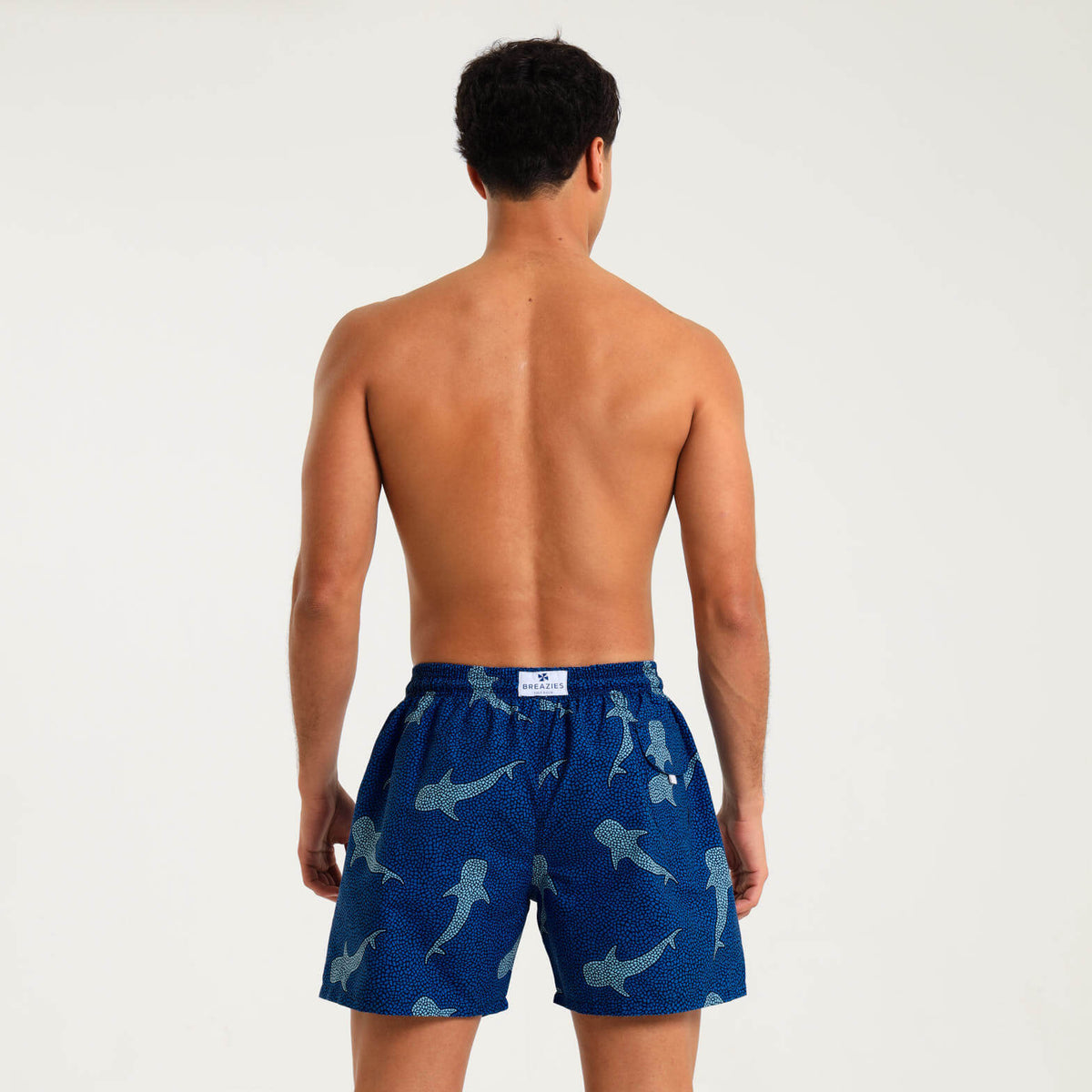 Swim Shorts - Whale Shark | Navy