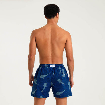 Swim Shorts - Whale Shark | Navy