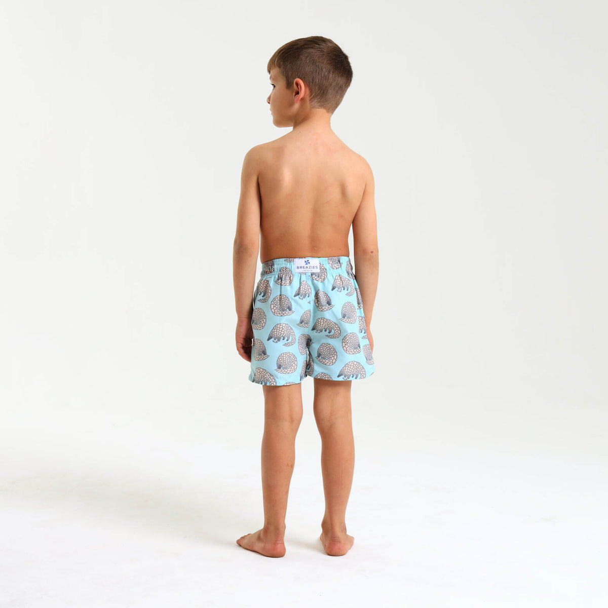 Boys Swim Shorts - Pangolin | Pastel Turq
