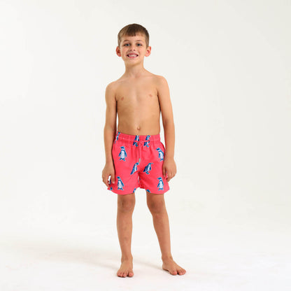 Boys Swim Shorts - Penguin | Coral