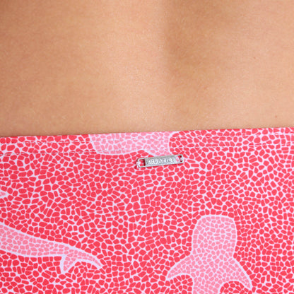 Ladies String Bikini Bottoms - Whale Shark | Coral